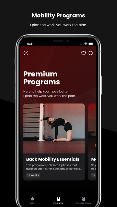 The Mobility Framework screenshot 3