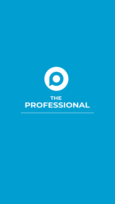 The Professional screenshot 5