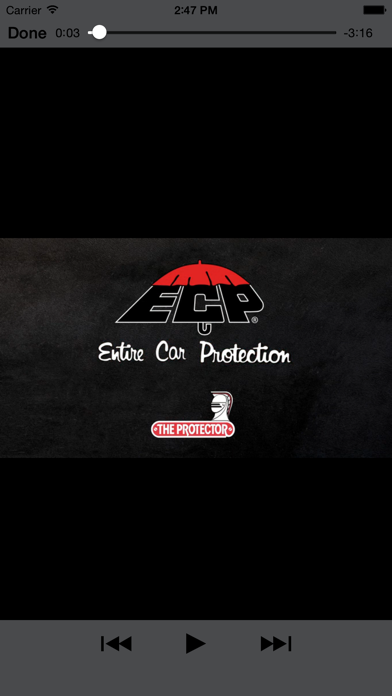 The Protector - ECP screenshot 1