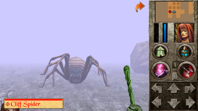 The Quest - Celtic Rift screenshot 1