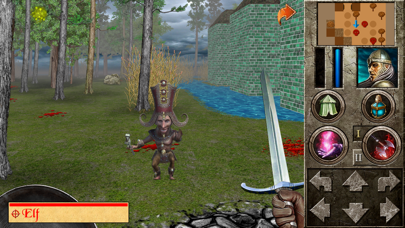 The Quest - Hero of Lukomorye4 screenshot 3