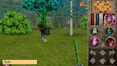 The Quest - Hero of Lukomorye4 screenshot 1