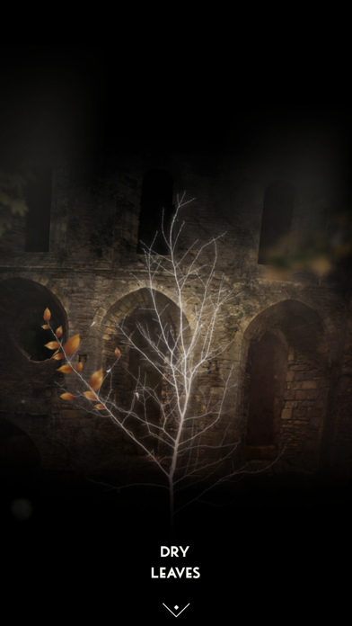 The Sailor’s Dream screenshot 1