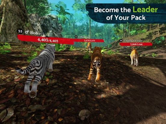 The Tiger Online RPG Simulator screenshot 7