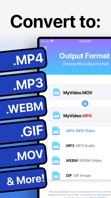 The Video Converter screenshot 5