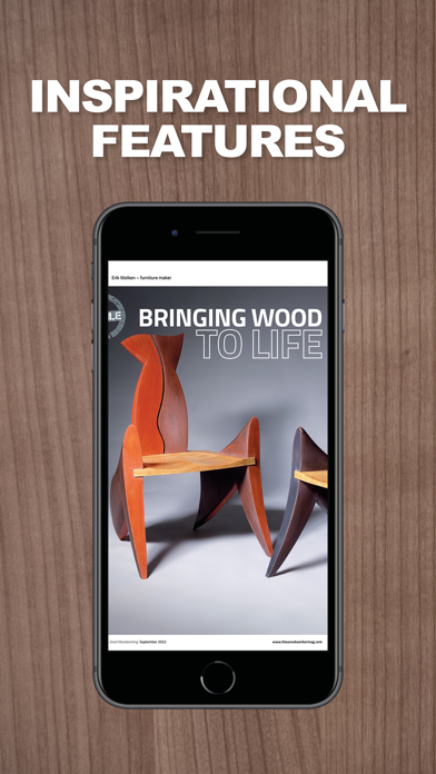 The Woodworker screenshot 3