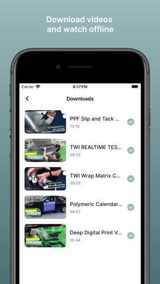 The Wrap Institute screenshot 2