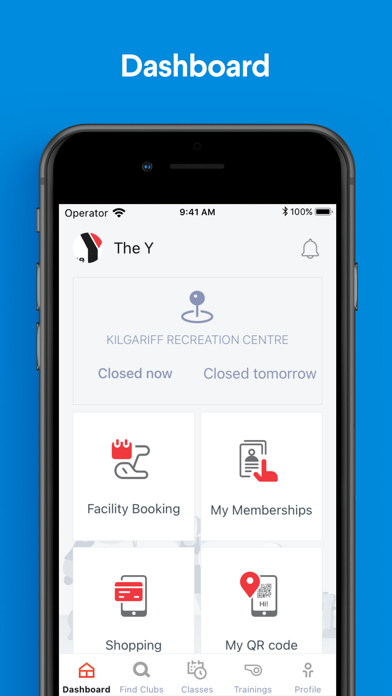 The Y NT screenshot 6