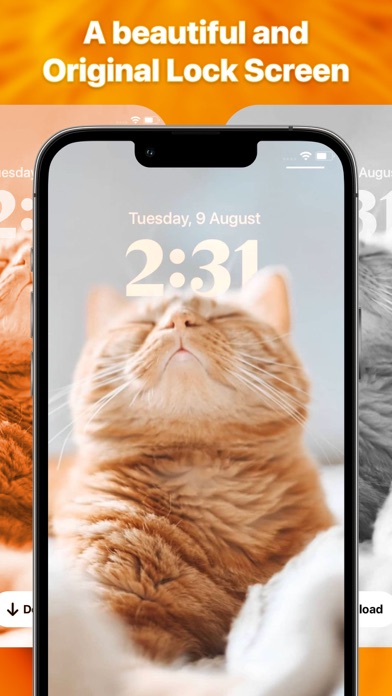 Themes Widgets & Icons by Vega screenshot 1