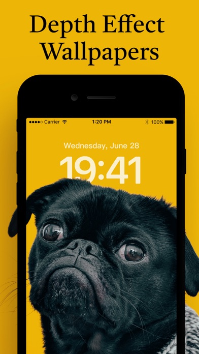 Themes © screenshot 5