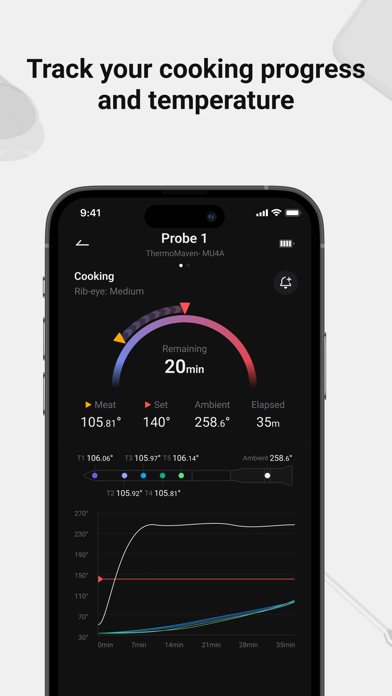 ThermoMaven screenshot 2