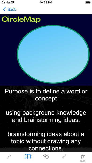Thinking wisely screenshot 2