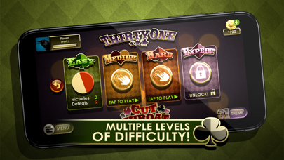 Thirty One Rummy screenshot 2