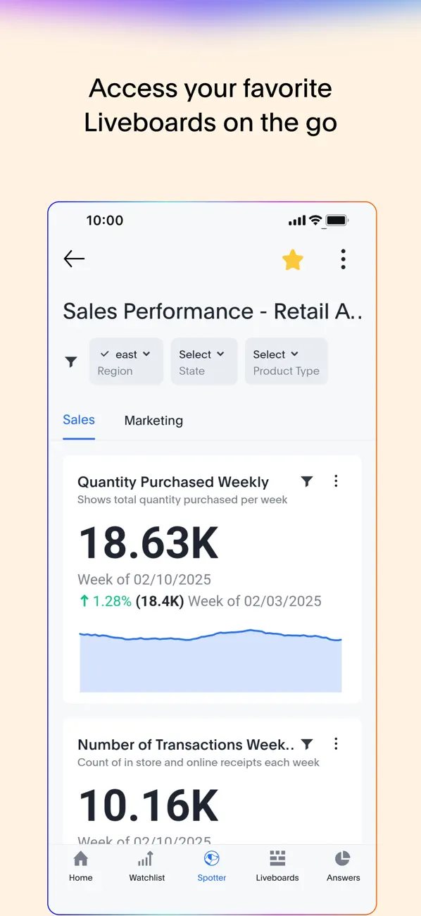 ThoughtSpot screenshot 5