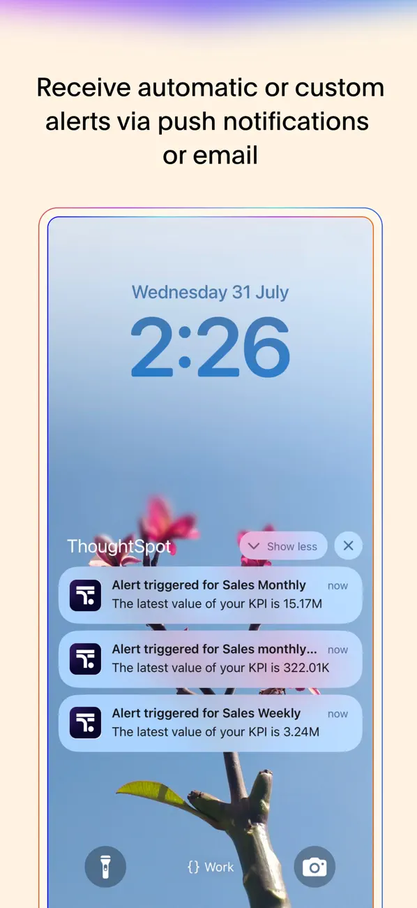 ThoughtSpot screenshot 1