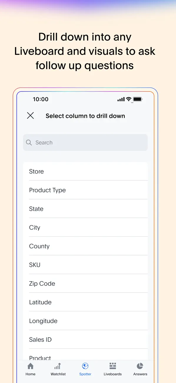 ThoughtSpot screenshot 4