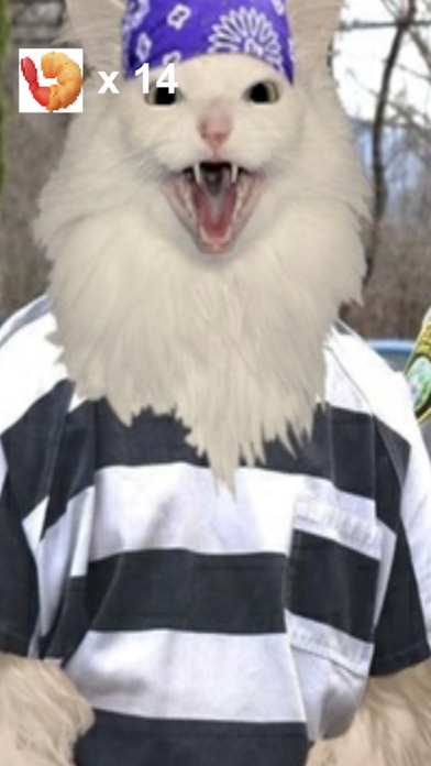 Thurston Waffles: MDHE! screenshot 3