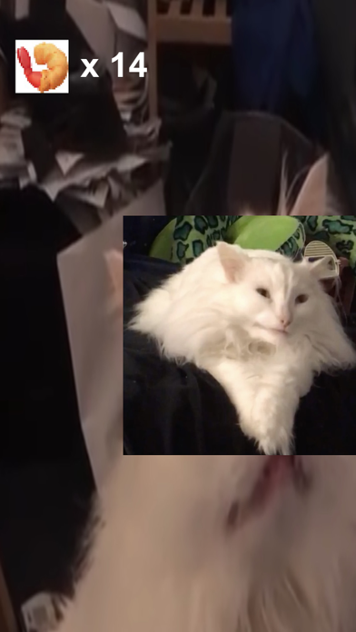 Thurston Waffles: MDHE! screenshot 2