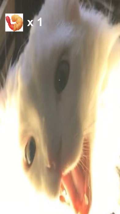 Thurston Waffles: MDHE! screenshot 1