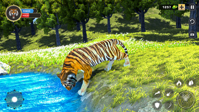 Tiger Family Hunt Simulator screenshot 4