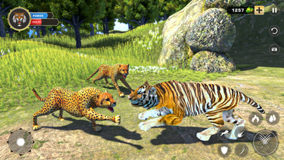 Tiger Family Hunt Simulator screenshot 3