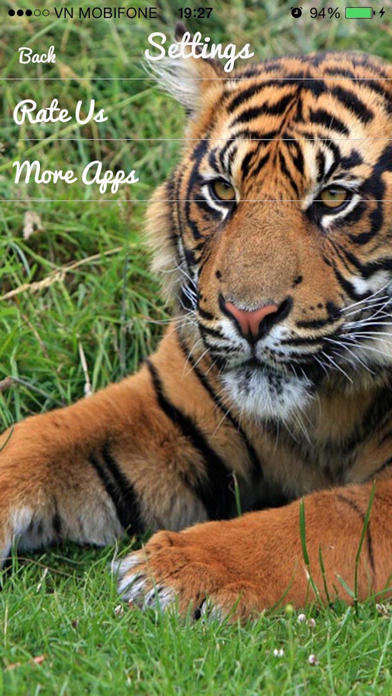 Tiger Sounds - Tiger Sounds for Kids screenshot 1