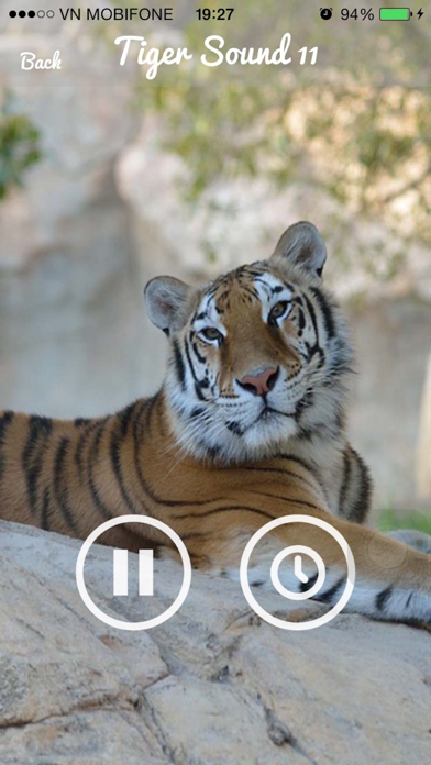 Tiger Sounds - Tiger Sounds for Kids screenshot 2