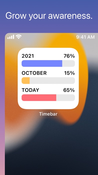 Timebar: Passage of Time screenshot 2