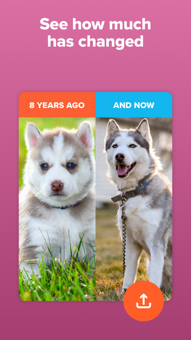 Timehop - Memories Then & Now screenshot 4