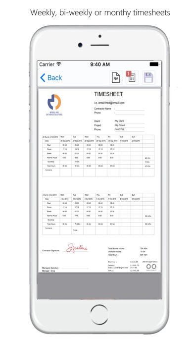 Timesheet PDF screenshot 3