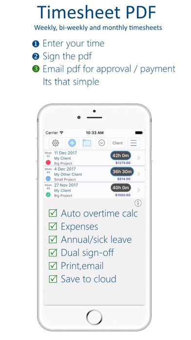 Timesheet PDF screenshot 5