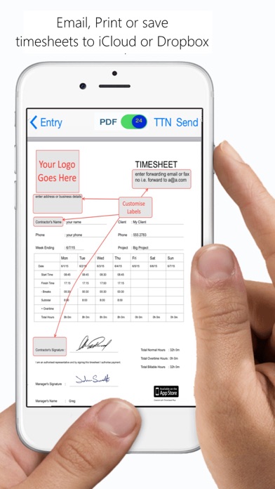 Timesheet PDF screenshot 2
