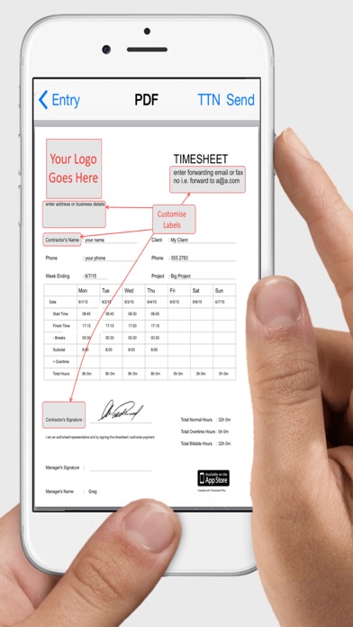 Timesheet Plus screenshot 1