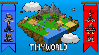 Tiny World screenshot 3