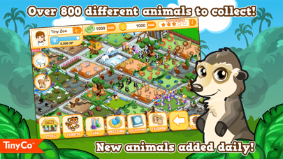Tiny Zoo Friends screenshot 1