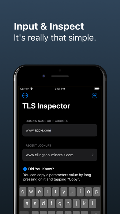 TLS Inspector screenshot 5