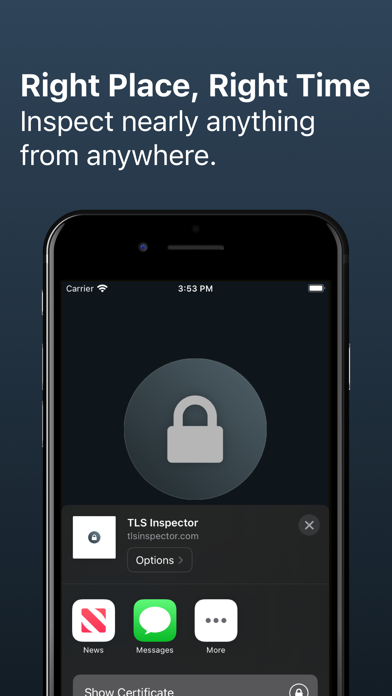 TLS Inspector screenshot 1