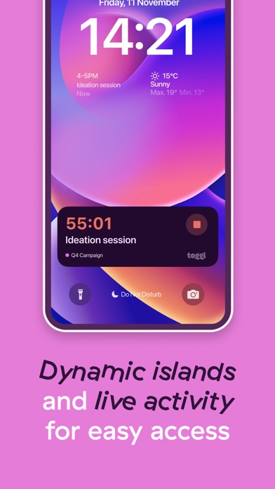Toggl Track: Hours & Time Log screenshot 2