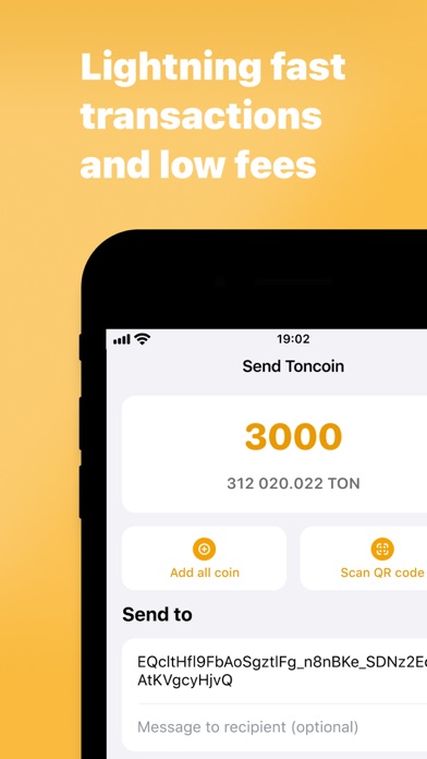 Ton Sandbox Wallet screenshot 2