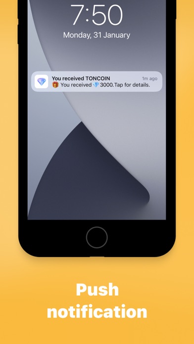 Ton Sandbox Wallet screenshot 3