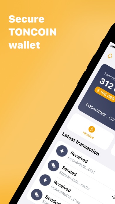Ton Sandbox Wallet screenshot 5