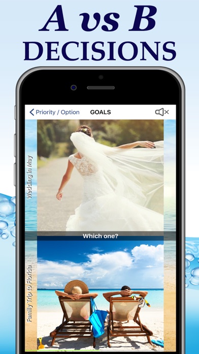 Tools4Wisdom Priority Planner screenshot 2