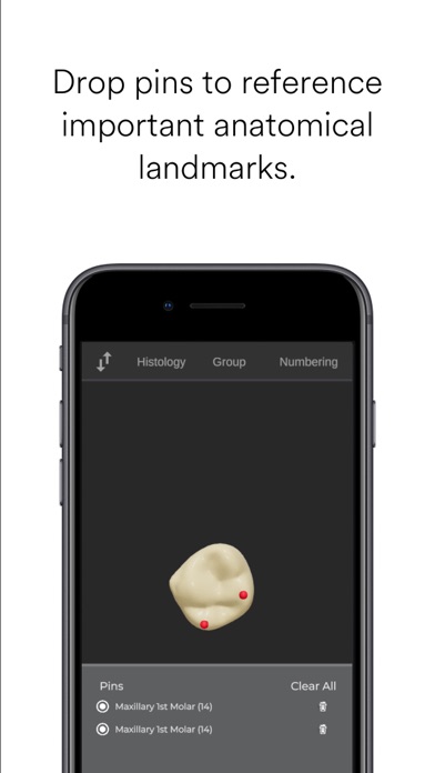 ToothView™ screenshot 1