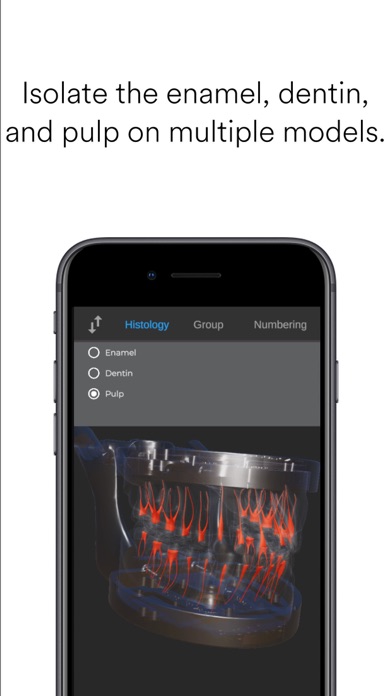 ToothView™ screenshot 3