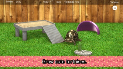 Tortoise to grow relaxedly screenshot 4