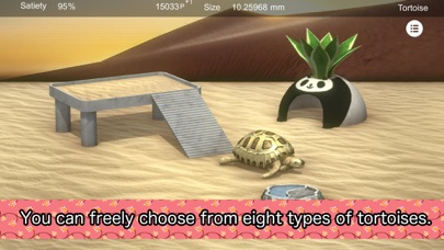 Tortoise to grow relaxedly screenshot 3