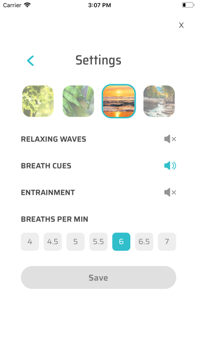 Total Brain screenshot 1