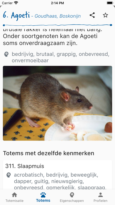 Totemapp screenshot 2