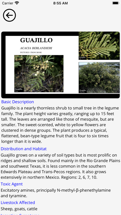 ToxicPlantIdentification screenshot 2