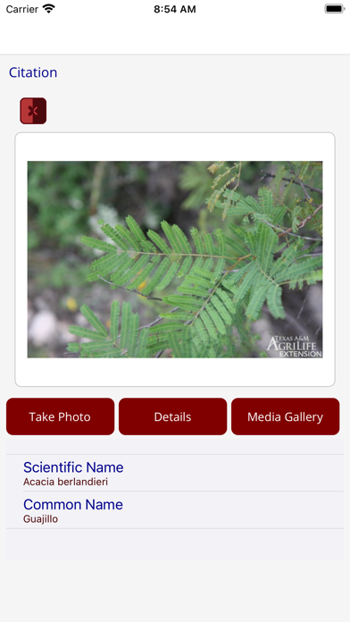 ToxicPlantIdentification screenshot 3